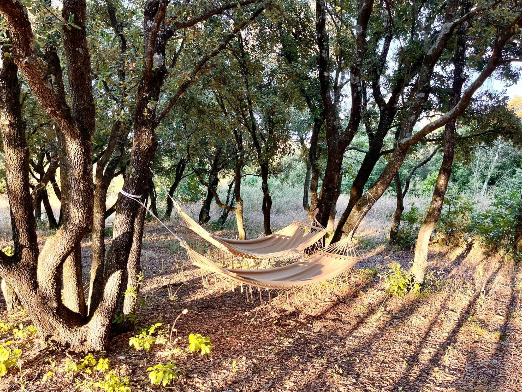 Montségur-sur-Lauzon Nuiki Lodges - Chambres D'Hotes מראה חיצוני תמונה